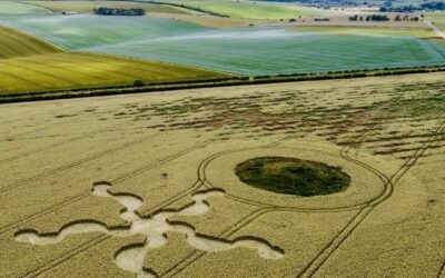 Conférence sur les agroglyphes