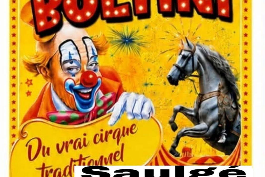 Cirque BOLTINI